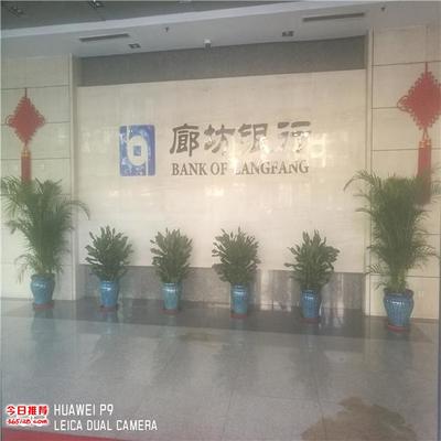 天津專業花卉綠植租擺與銷售服務