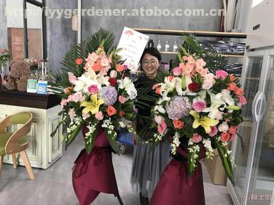 蘇州花卉綠植租賃 打造生態友好的辦公與生活空間