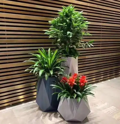 杭州綠植租賃-浙大團隊品質保障，花卉綠植租借一體化服務